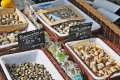 Notre agence immobilière Vannes vous parle du marché de sa ville